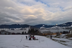 WP_20180310_17_29_02_Pro