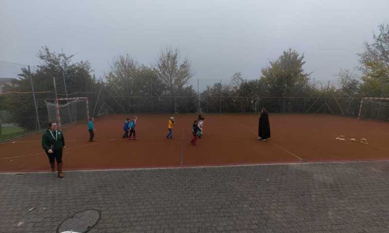 IMG-20221117-WA0002