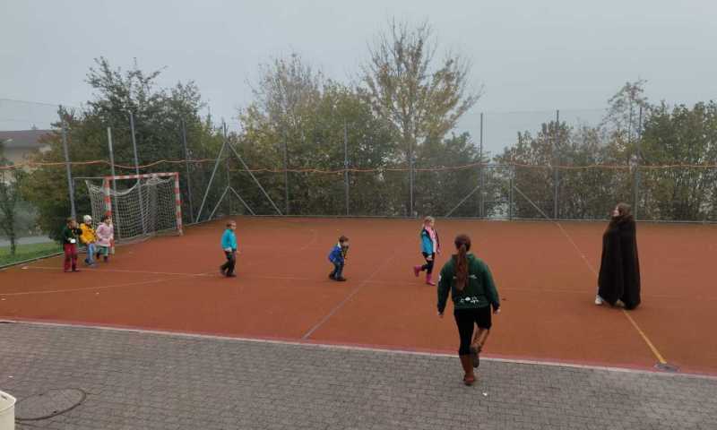 IMG-20221117-WA0012