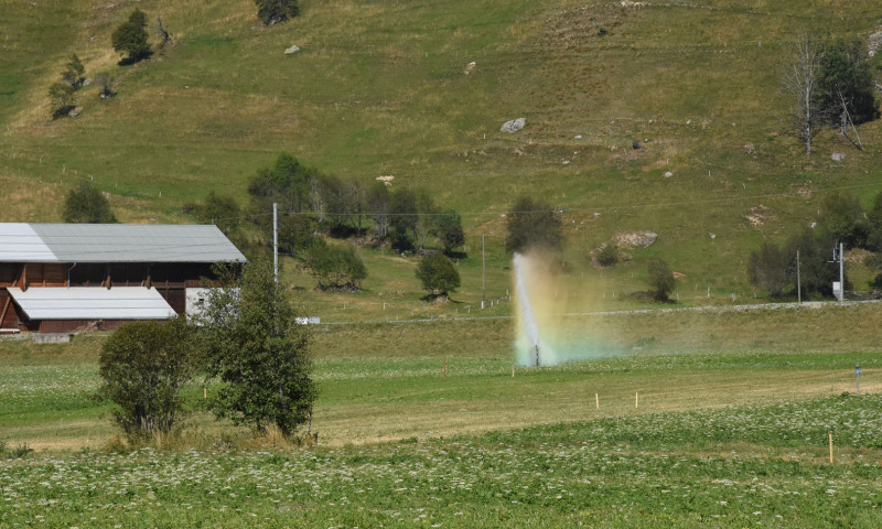 DSC_1314