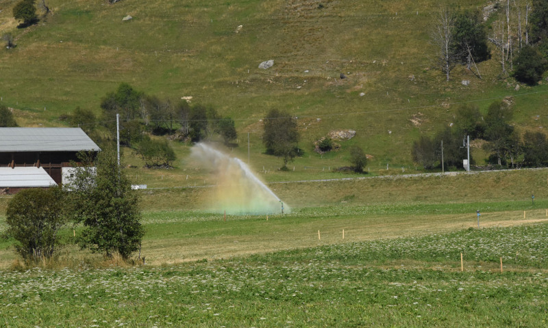 DSC_1315