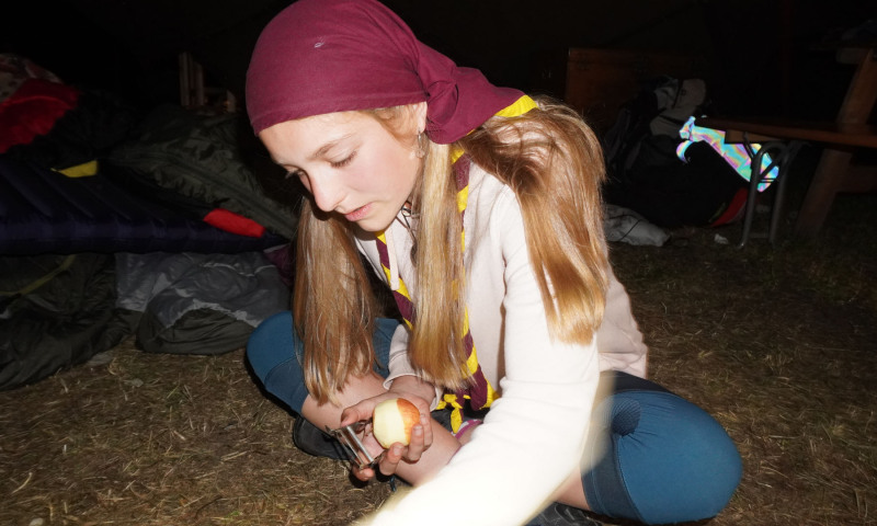 DSC05539