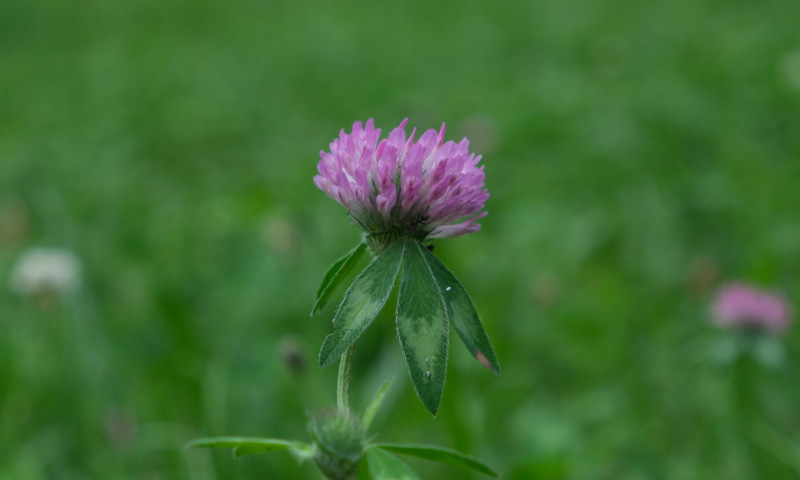 DSCF4943