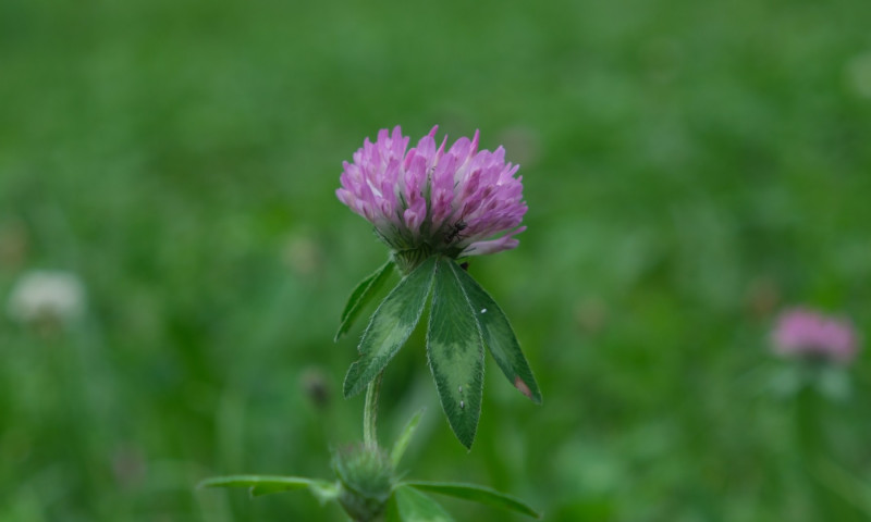 DSCF4944