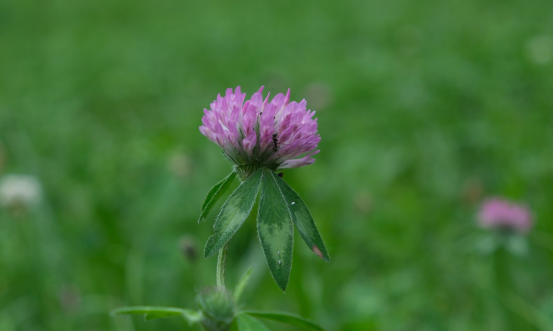 DSCF4945
