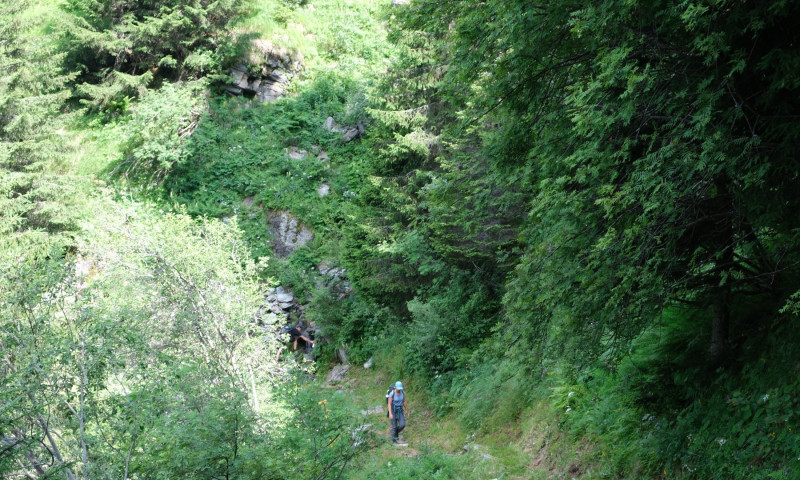 DSCF5037