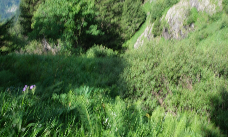 DSCF5039