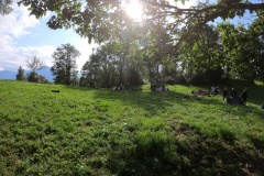 DCIM100GOPROGOPR0023.JPG