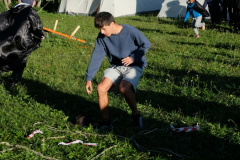 DSCF1975