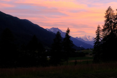 DSCF2185