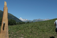 DSCF2563