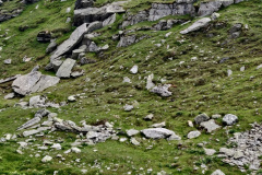 IMG_20200714_134436