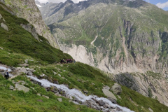 IMG_20200714_140355