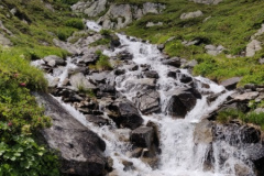 IMG_20200714_140445