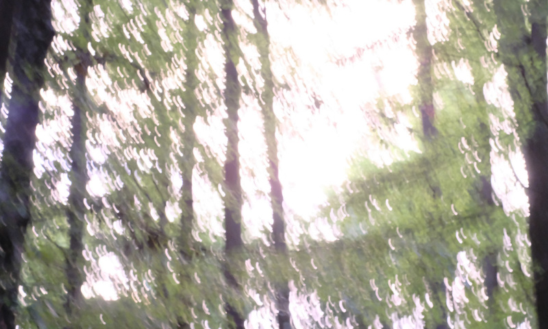 DSCF5980