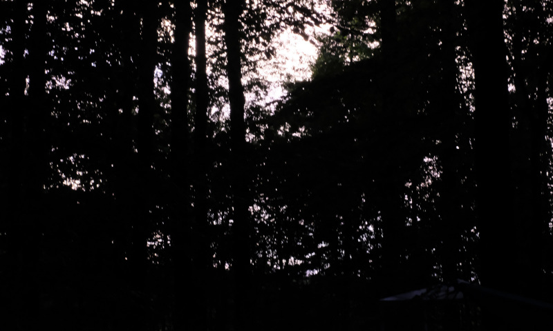 DSCF5982