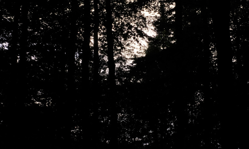 DSCF5983