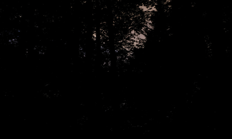 DSCF5985