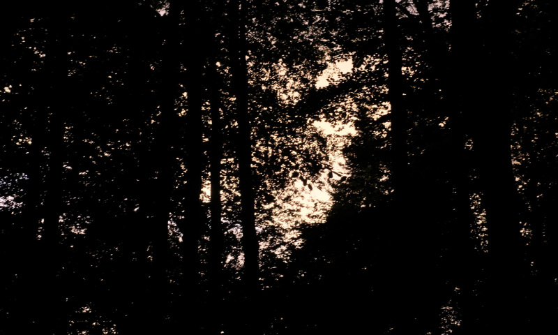 DSCF5986