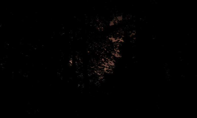 DSCF5987