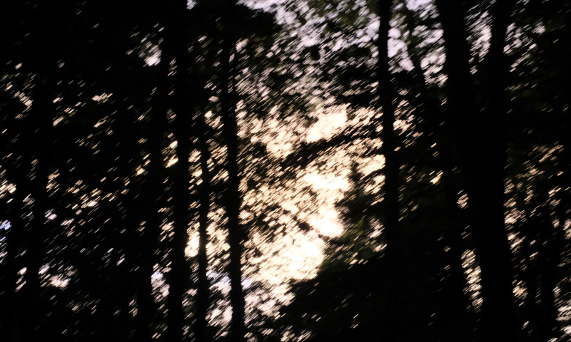 DSCF5988