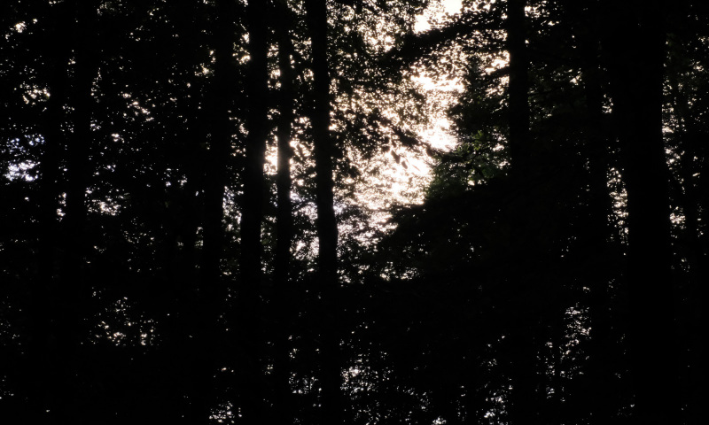 DSCF5989