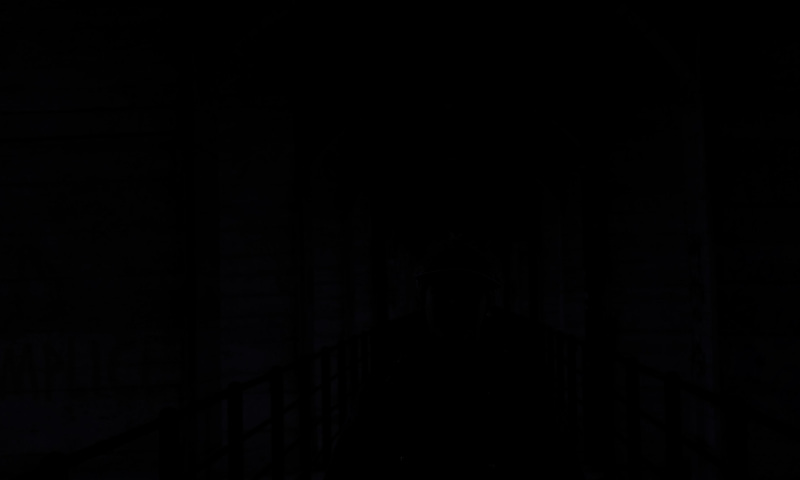 DSCF6173