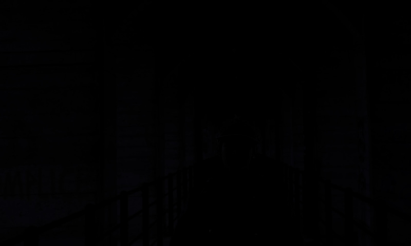 DSCF6174