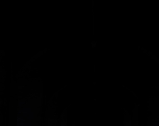 DSCF6175