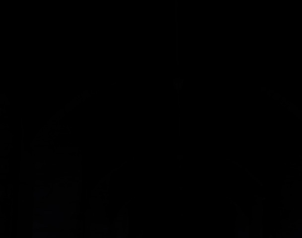 DSCF6176