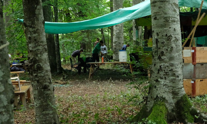 DSCF5470