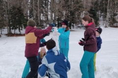 IMG_20190126_153439