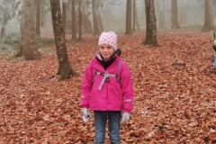 IMG_20201128_150444