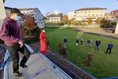 IMG_20201107_154948