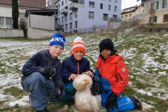 IMG_20200307_145309_1