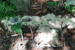 IMG_20210612_163221