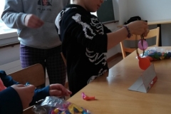 WhatsApp Image 2019-02-16 at 17.33.43 (1)
